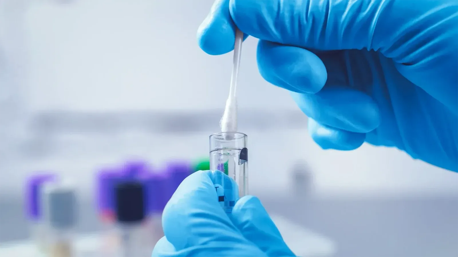 Gloved hands holding a cheek swab above a sample tube.